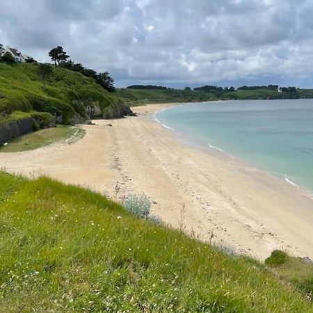 Maison Cosy 1 Chambre Avec Jardin, A 200M De La Plage Des Grands Sables - Fr-1-418-163 Locmaria Eksteriør billede